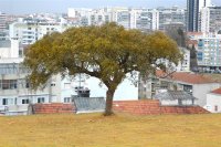 Agência Portuguesa de Ambiente criada hoje oficialmente