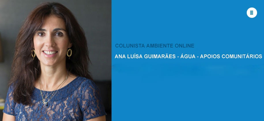 Colunista Ana Luísa Guimarães: Compasso de espera para o aviso relativo às agregações em baixa