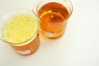 Seis microalgas com elevada capacidade de produção de biodiesel identificadas