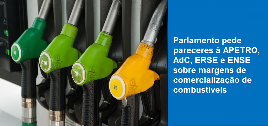 Parlamento pede pareceres à APETRO, AdC, ERSE e ENSE sobre margens de comercialização de combustíveis