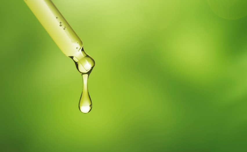 Importação de biocombustíveis compromete indústria nacional