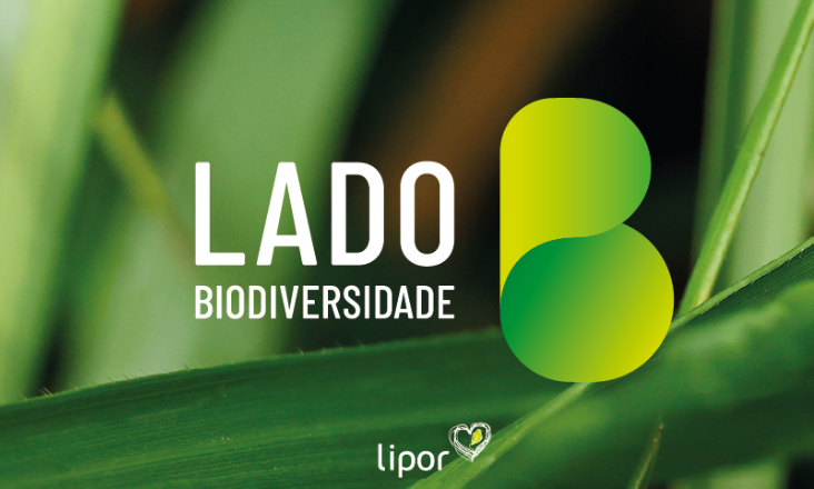 LIPOR dedica maio à biodiversidade com atividades abertas à comunidade