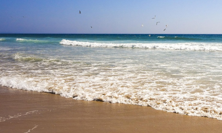 APA vai investir 8,6 milhões de euros na proteção das praias da Costa da Caparica e S. João da Caparica