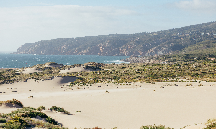 Cascais lança plataforma para medir e compensar impacto ambiental do turismo