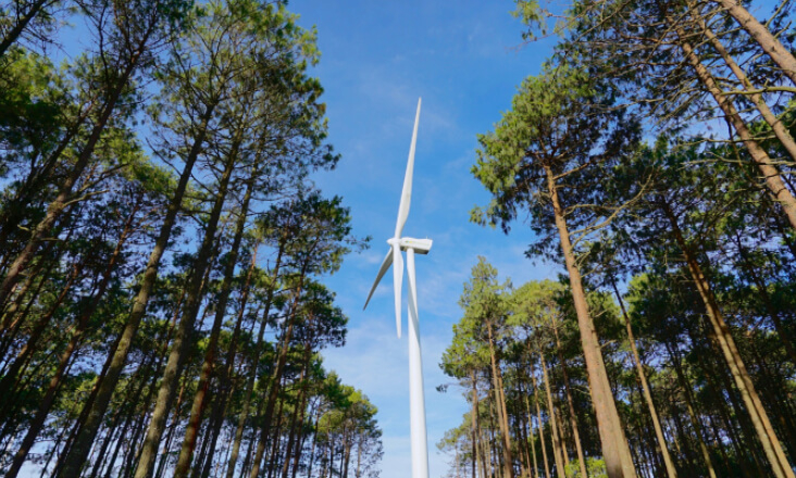 Iberdrola aumenta lucros em 20% e anuncia aumento de capital de 5 mil milhões