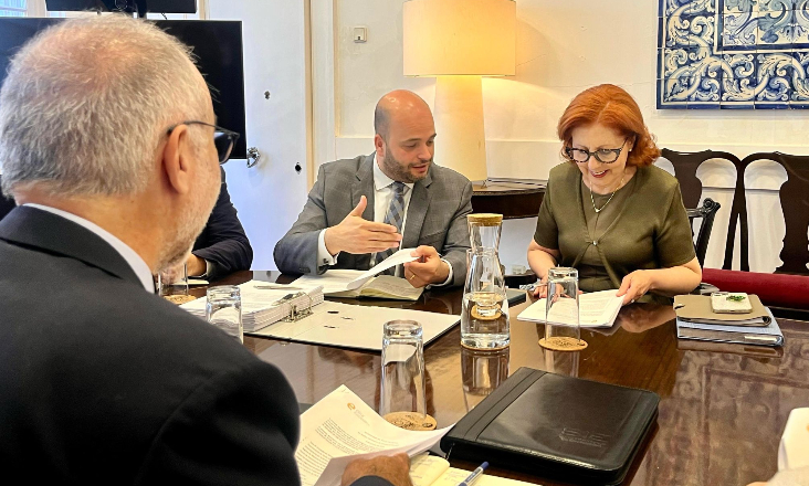 Governo e ERSE discutem regulação da eletricidade, gás natural e hidrogénio