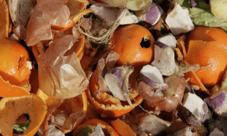 LIPOR lança nova campanha sobre compostagem caseira