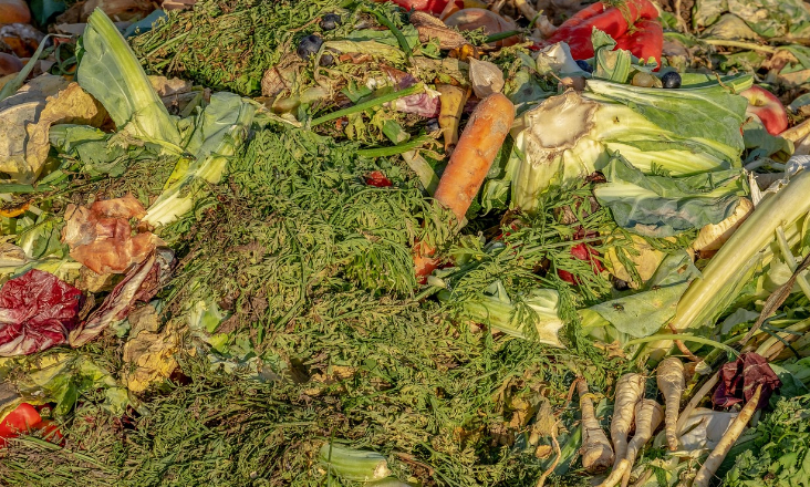 Ambilital alarga prazo de concurso de 3,4 milhões de euros para nova área de compostagem no Alentejo
