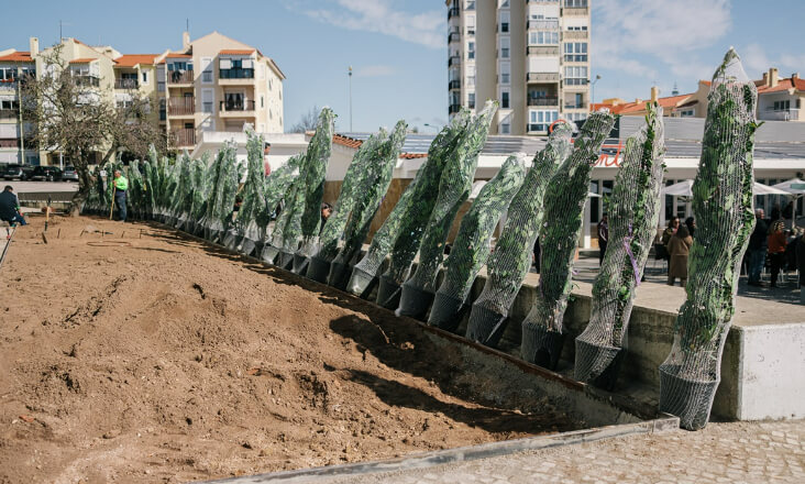 Cascais apresentou Plano de Renaturalização Urbana