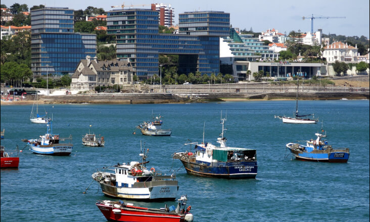 Cascais lança projeto para potenciar produção de energia renovável e reduzir fatura das famílias