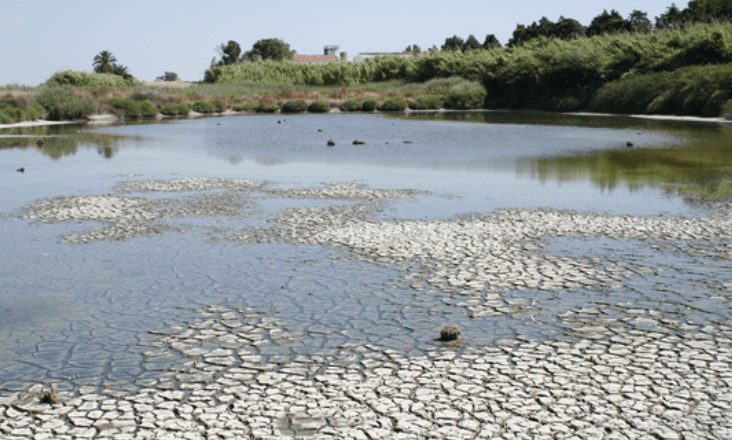 Fundo Ambiental vai destinar 5 milhões de euros para travar seca