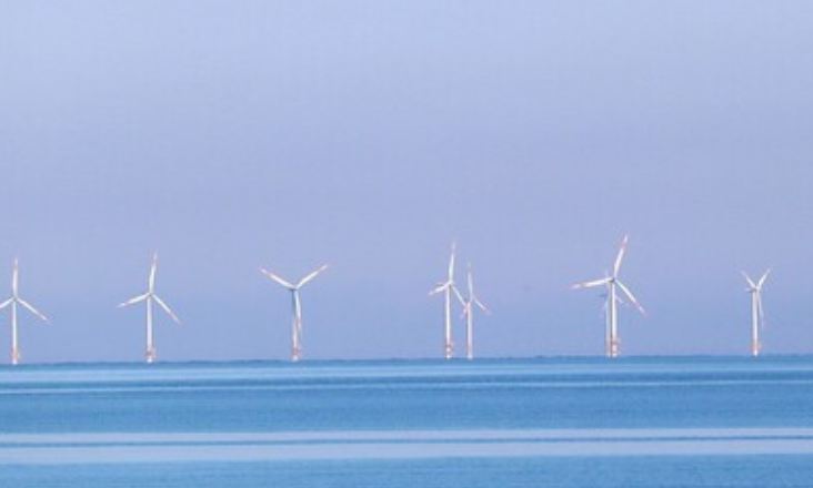 Parlamento Europeu quer aumentar produção de energia eólica no mar