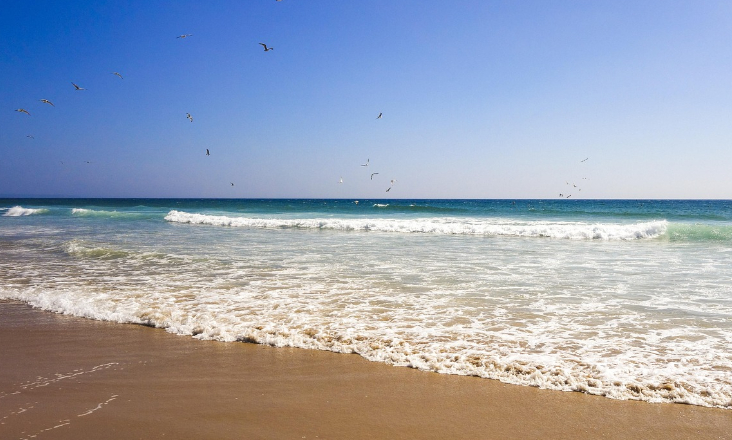 Governo abre concurso público para reforço de areia nas praias da Caparica