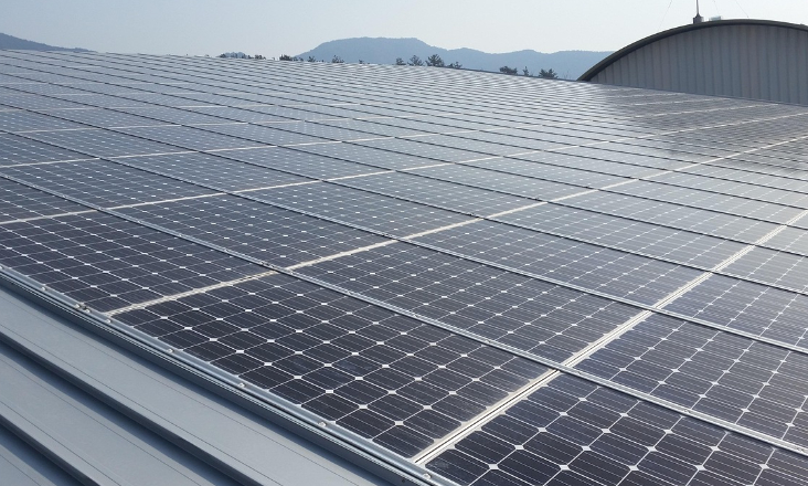 Portugal poderá antecipar em um ano meta de energias renováveis, anuncia ministra