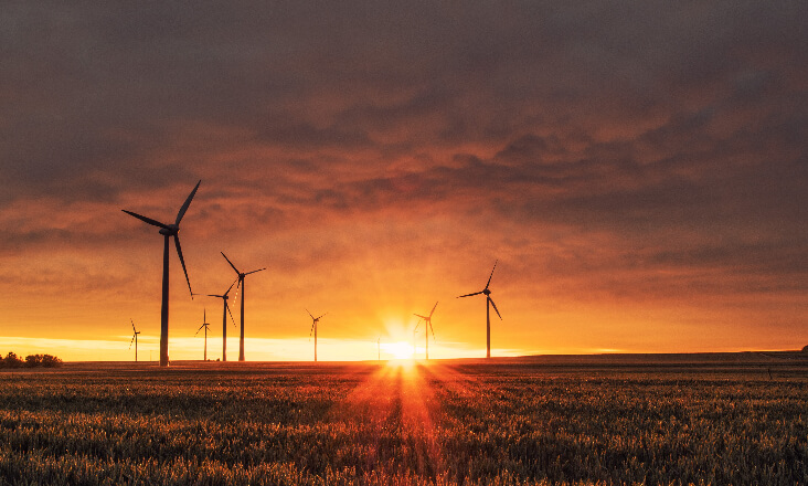 Projetos de energias renováveis têm prazo adicional de um ano para obter licenças de produção e exploração