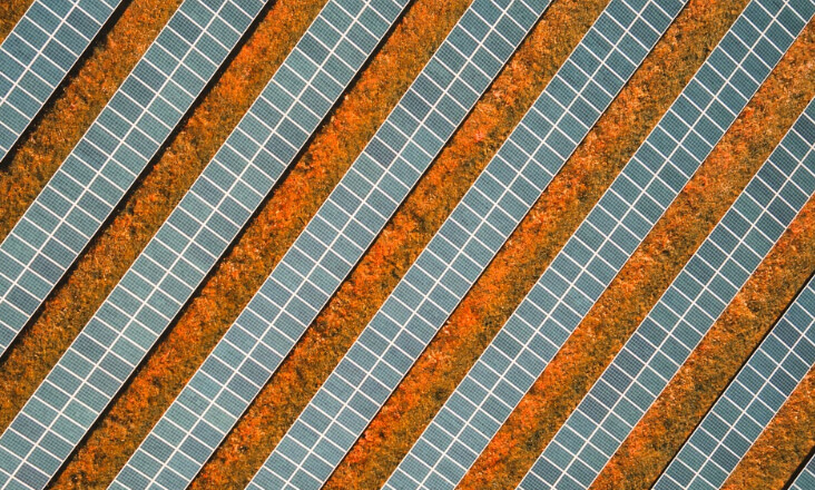 Ovar reduz a área de Reserva Ecológica Nacional para instalar três centrais fotovoltaicas