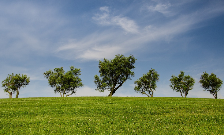 Portugal 2030: Governo atualiza regulamento da área de Ação Climática e Sustentabilidade