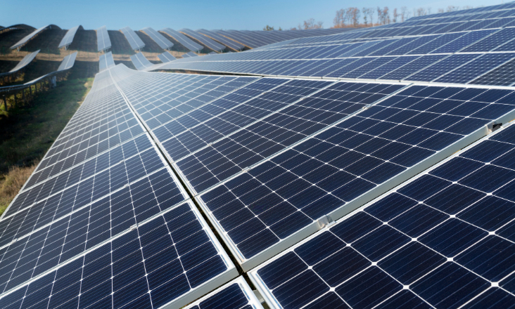 GEOTA rejeita mega central solar em área protegida no Alentejo