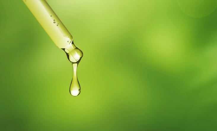 Importação de biocombustíveis compromete indústria nacional