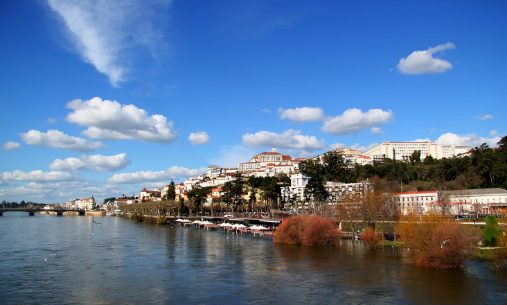 Coimbra avança com instalação de painéis solares em 15 edifícios municipais