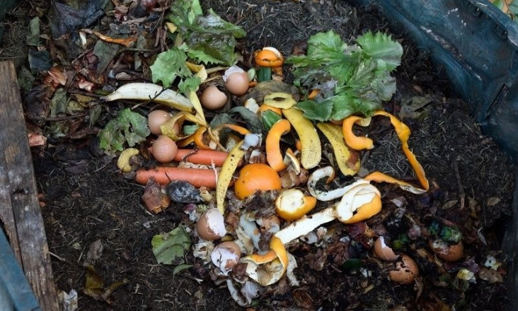 Caminha alarga projeto “Reciclar a Compostar” a todo o concelho