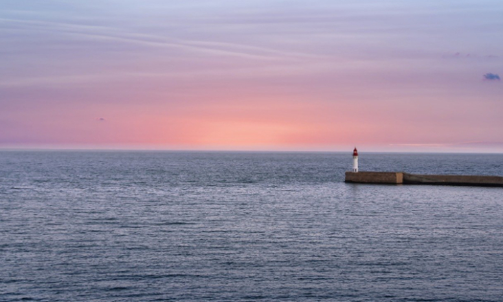 Lançado novo programa de monitorização e proteção dos ecossistemas marinhos no Norte de Portugal